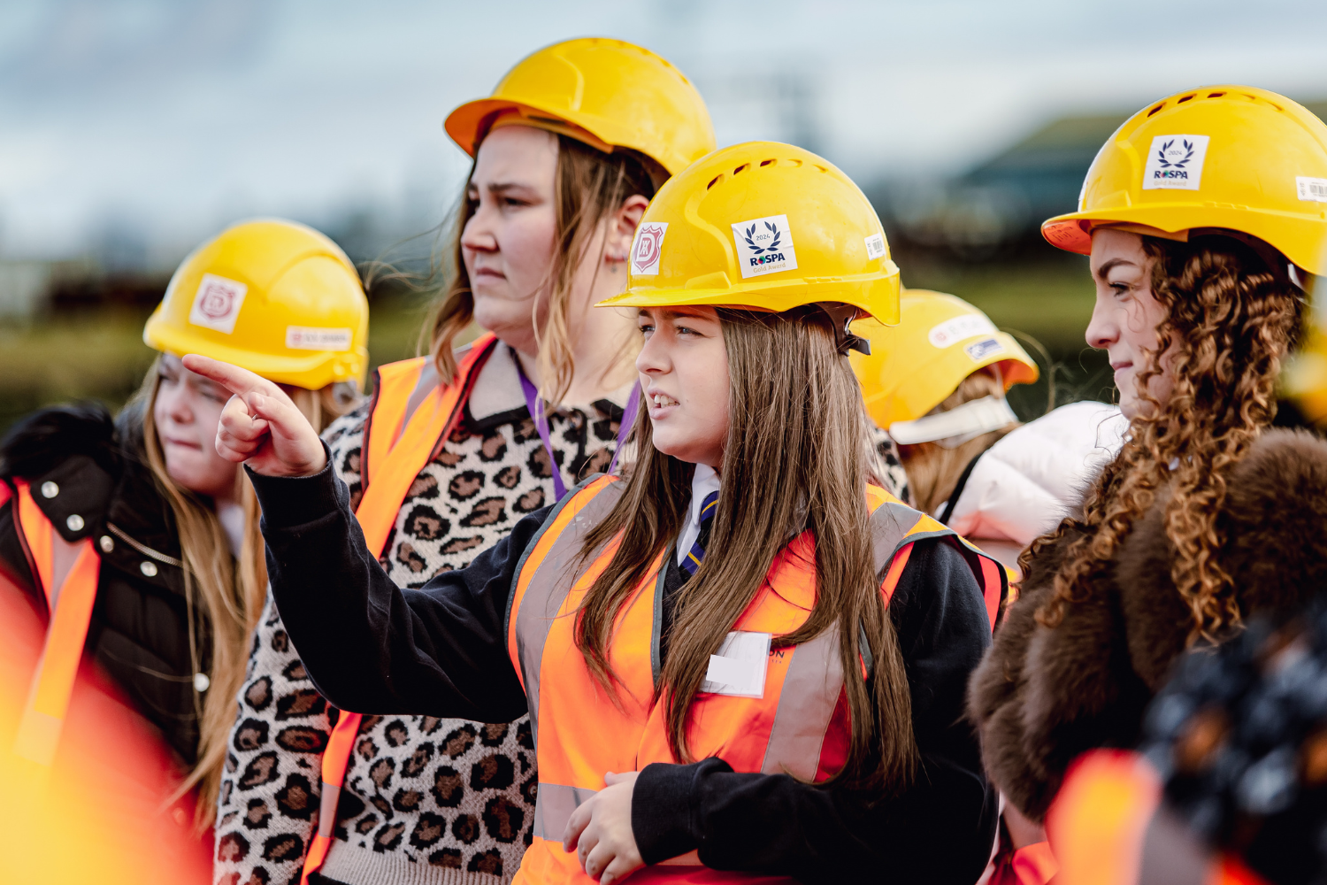 alternative of the image - See caption below